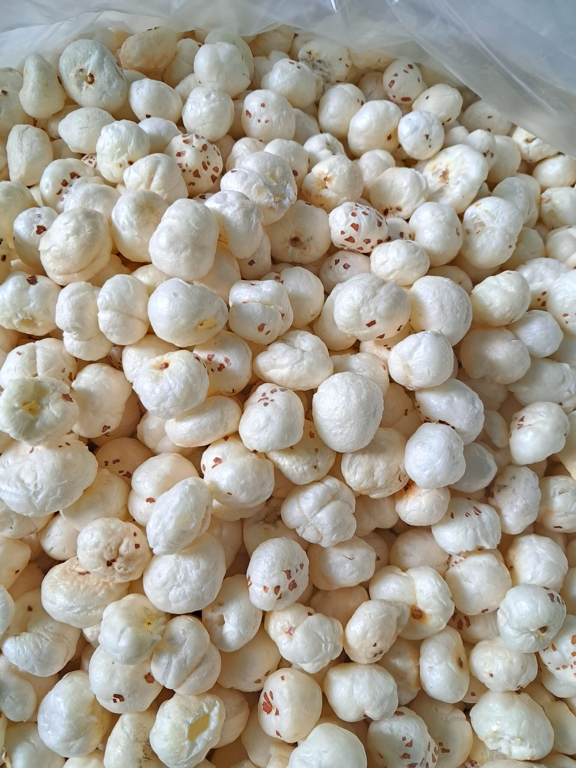 5 Suta Makhana
